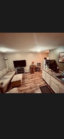 FULLY FURNISHED BASEMENT SUITE - Photo 3
