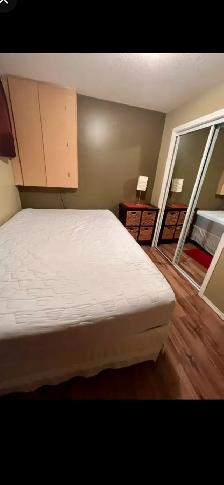FULLY FURNISHED BASEMENT SUITE - Photo 4