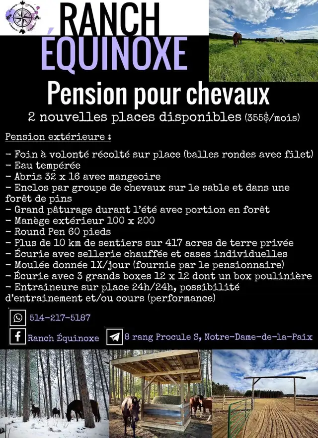 Pension pour chevaux