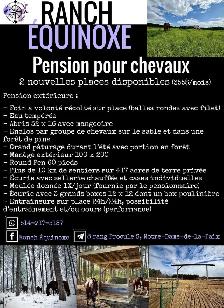 Pension pour chevaux