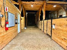 Pension pour chevaux - Photo 3