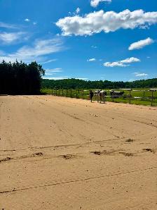 Pension pour chevaux - Photo 5