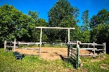 Pension pour chevaux - Photo 8