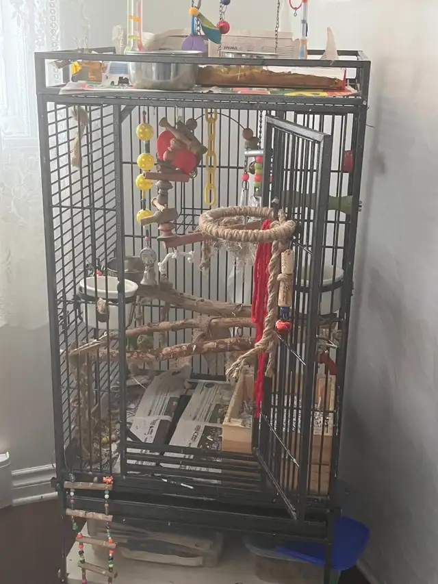 Cage à osieaux