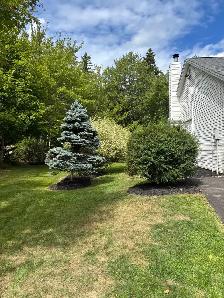 Beautiful Family Home in Kingswood - Photo 3