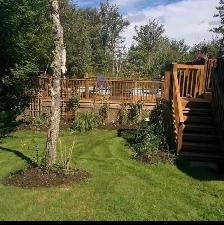 Beautiful Family Home in Kingswood - Photo 4