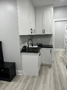 Bachelor Studio Basement Apartment in Brampton West - Photo 8