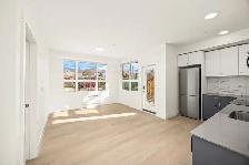 1 Bedroom 1 Bathroom Apartment - Photo 2