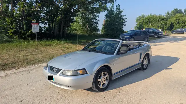 2003 Mustang V6 Convertible for Sale