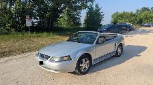 2003 Mustang V6 Convertible for Sale