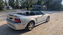 2003 Mustang V6 Convertible for Sale - Photo 3