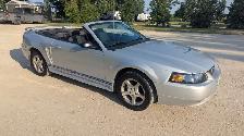 2003 Mustang V6 Convertible for Sale - Photo 4