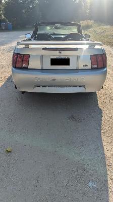 2003 Mustang V6 Convertible for Sale - Photo 8