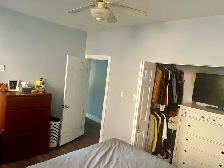 1 Bedroom Victorian house big backyard and walk- - Photo 4