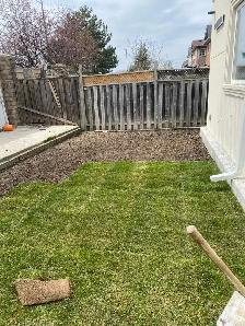 Landscaping/Sodding - Photo 2