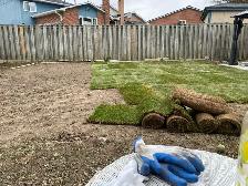 Landscaping/Sodding - Photo 3