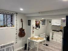 AnnexTwo Bedrm Basement unit steps to Bathurst sbwy - Photo 3