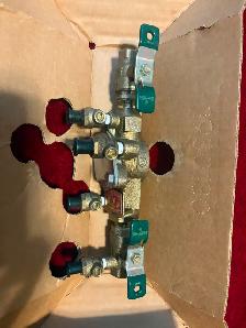 WATTS Double Check Valve Plumbing Assembly