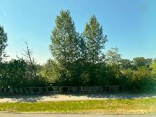 Second Floor office space for Sublease (Burnaby) - Photo 9