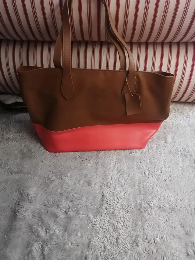 Danier leather purse