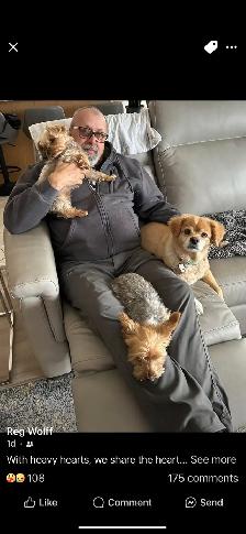 Pet Sitting - Photo 5