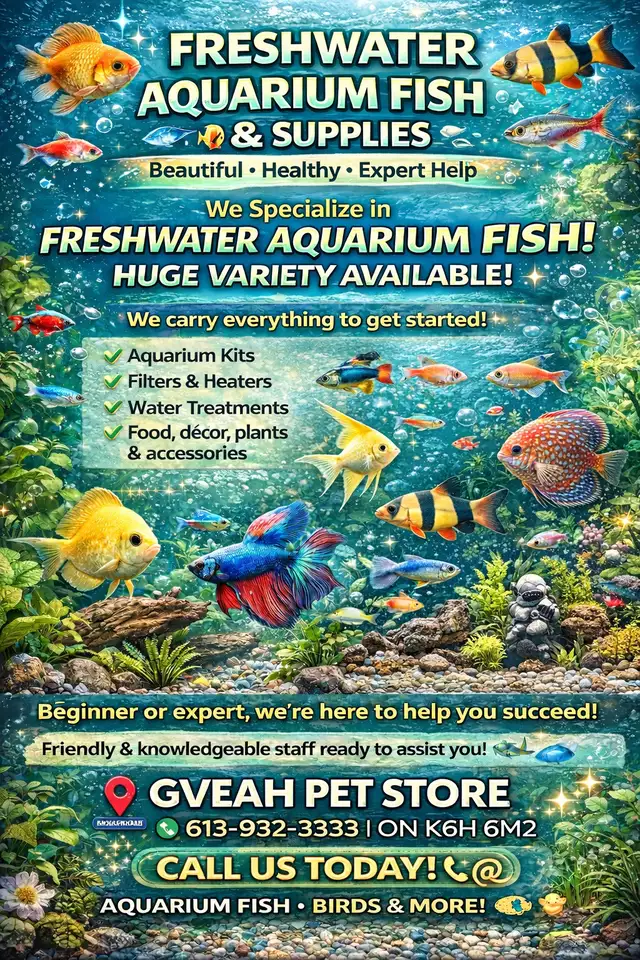 Freshwater Aquarium Fish & Supplies – Huge Variety!