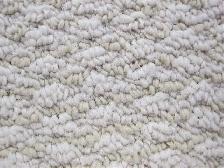 Carpet Special, limited quantities, limited time - Photo 3