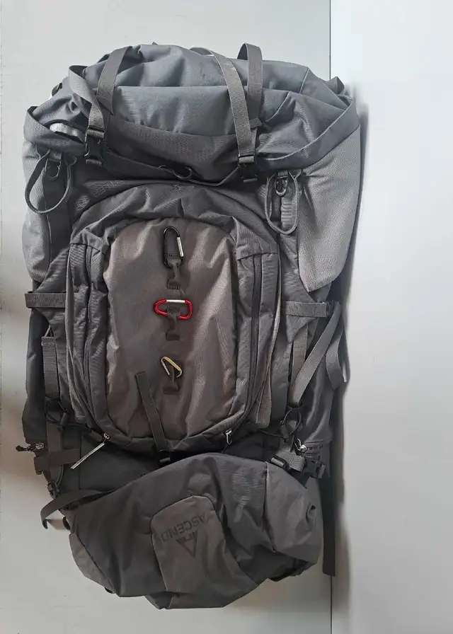 Ascend Pintler Bag NO COVER (24385121)