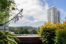 Special Offer Available 3 Bed   2 Bath Home in North Van - Photo 12