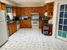 Big single house, big rooms. Near CU Near O-train - Photo 2
