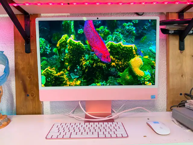 2024 Apple iMac 24' 4.5K Retina M4 Chip 16GB RAM (#19593)