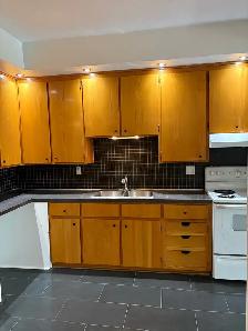 1 FREE MONTH…PLATEAU…4-5 Bedroom…2 FULL BATHROOMS…HUGE APT