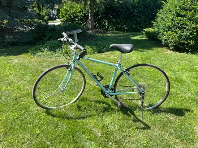 2 Adult bikes, hardly used.  $ 150 each OBO