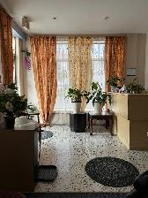 Well-Established Massage Therapy Business for Sale in Montreal - Photo 5