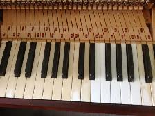 PIANO TUNING, REPAIR. POLYESTER REPAIR. PIANOS FOR SALE - Photo 6