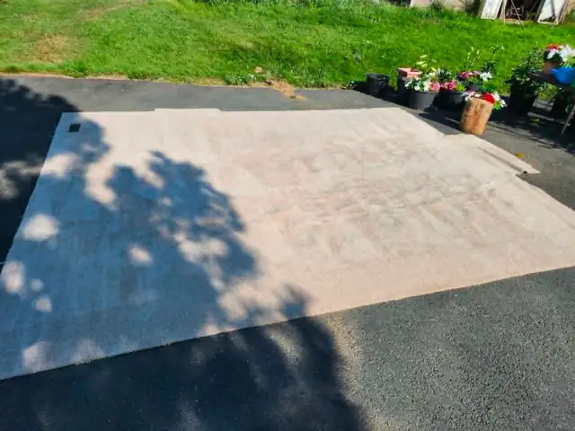 Carpet Beige/Tan