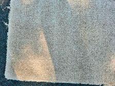 Carpet Beige/Tan - Photo 2