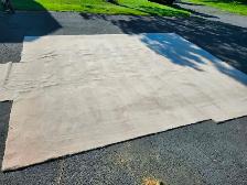 Carpet Beige/Tan - Photo 3