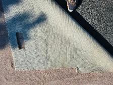 Carpet Beige/Tan - Photo 5