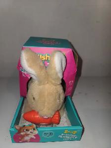 Chat Chien et Lapin qui Marchent - Photo 9