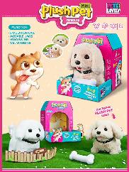 Chat Chien et Lapin qui Marchent - Photo 10