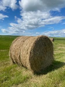 hay bales