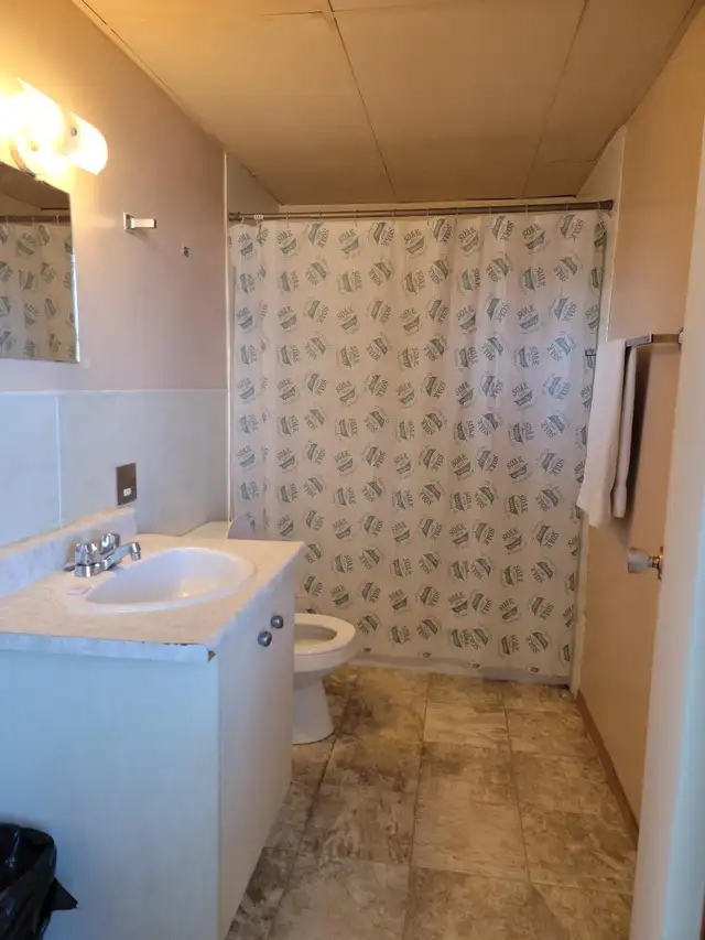 All Utilities are included,pet friendly , bachelor suite