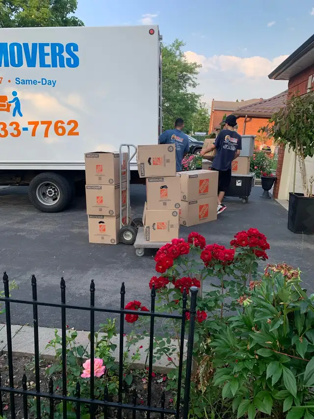 Fit4U movers 24/7