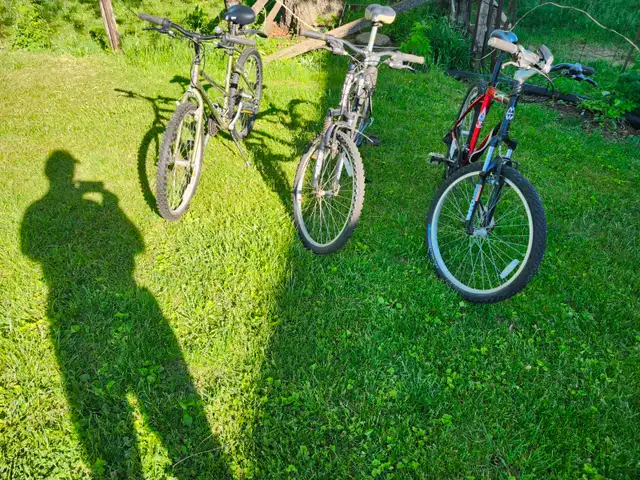 Adult Mountain Bikes For Sale