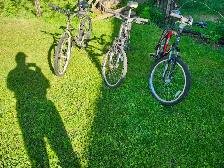 Adult Mountain Bikes For Sale