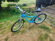 Ladies Mountain Bike For Sale - Photo 2
