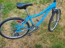 Ladies Mountain Bike For Sale - Photo 4