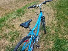 Ladies Mountain Bike For Sale - Photo 10