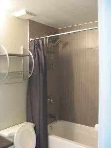 Spacious 1 Bedroom Condo Apartment - Photo 2